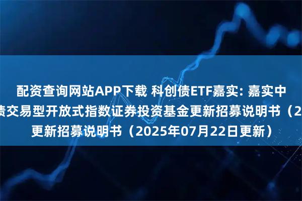 配资查询网站APP下载 科创债ETF嘉实: 嘉实中证AAA科技创新公司债交易型开放式指数证券投资基金更新招募说明书（2025年07月22日更新）