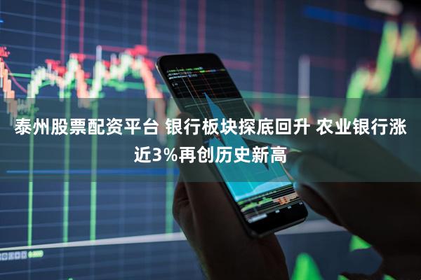 泰州股票配资平台 银行板块探底回升 农业银行涨近3%再创历史新高
